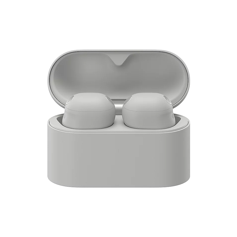 Sony WF-1000XM6 Earbuds