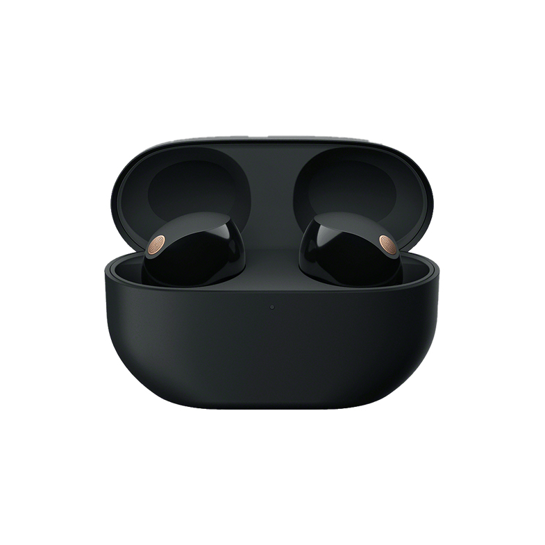 Sony Wireless Noise Cancelling Earbuds